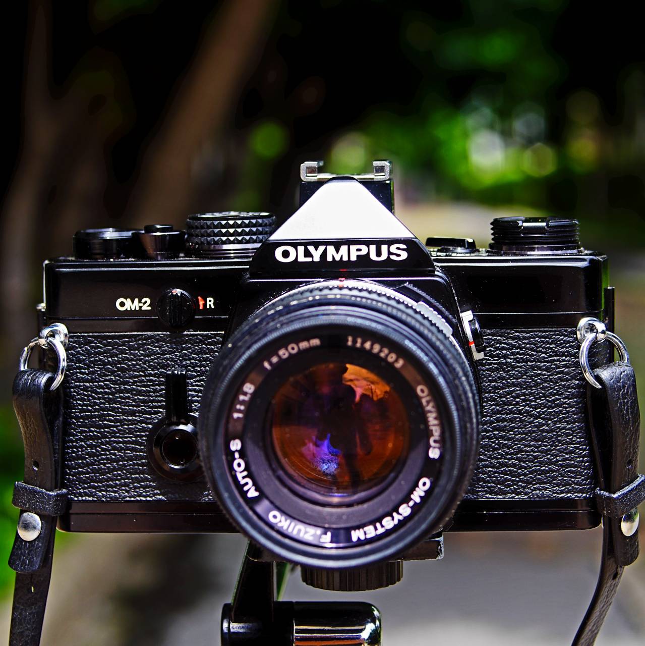 รีวิวกล้องฟิล์ม OLYMPUS OM-2