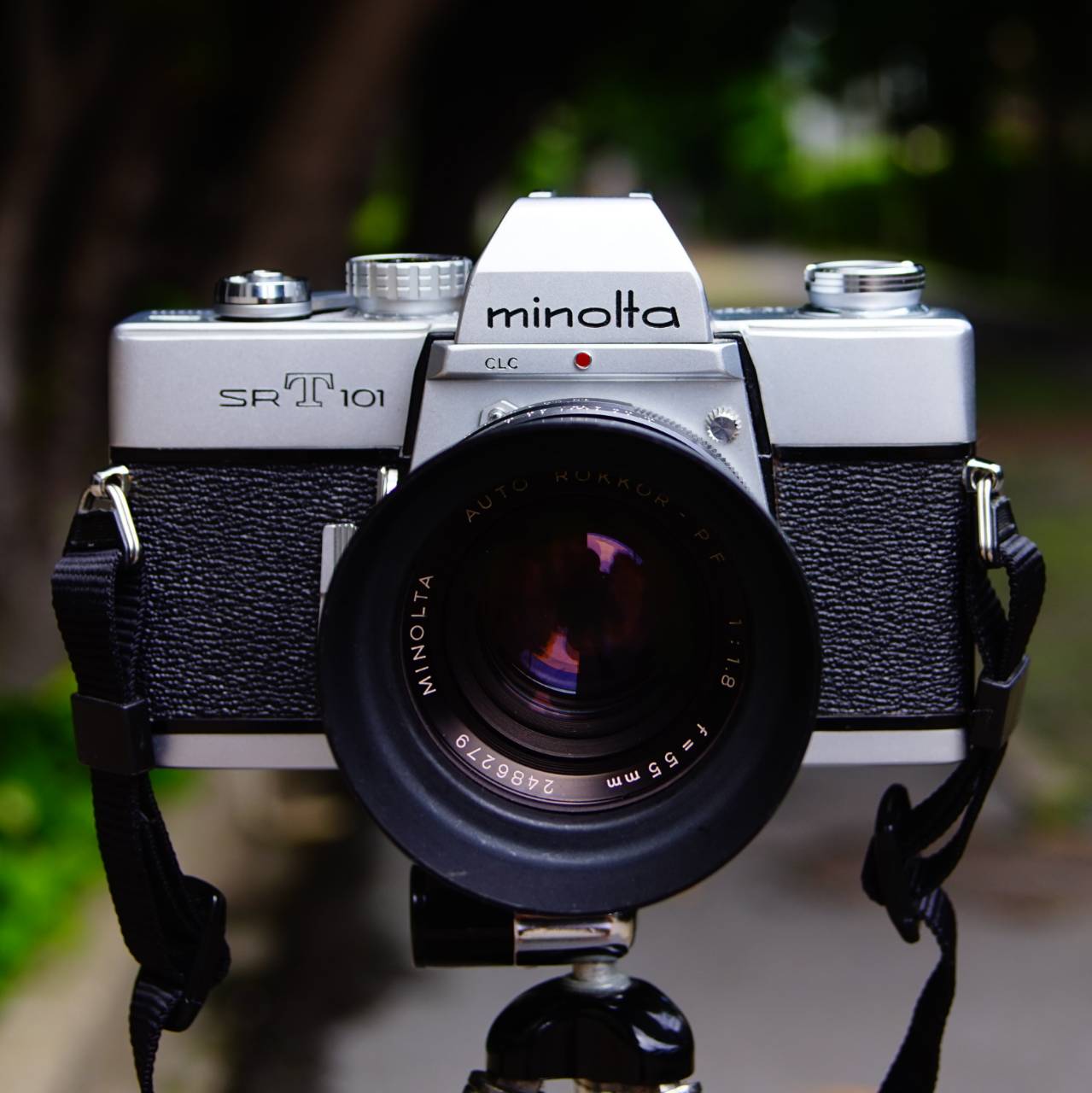 รีวิวกล้องฟิล์ม Minolta SRT101 ฟิล์ม Fujicolor Externa Tungsten 160